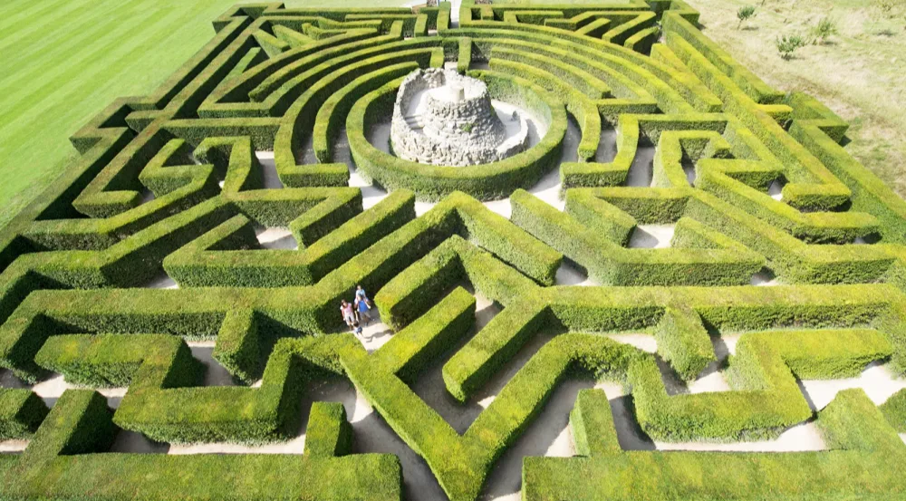 Aerial view of a green hedge maze.