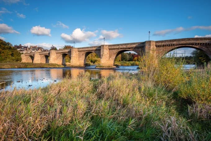 River Tyne shines in the sunlight beneath the many arches of the Corbridge Road Brides. Brambles at the foreground meet the river.