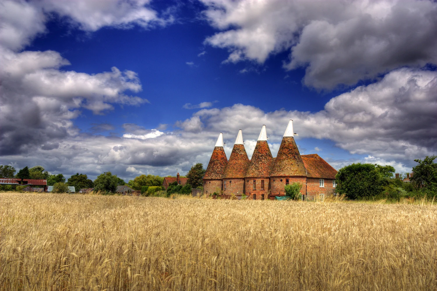 Image of three hop houses in Kent