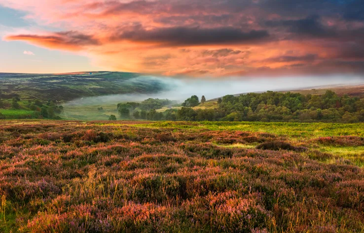 A pink cloudy sky over heather-covered moorland.