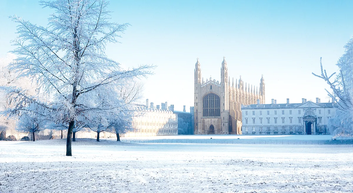 A snow-covered lawn and tree looking over to a university building and cathedral.