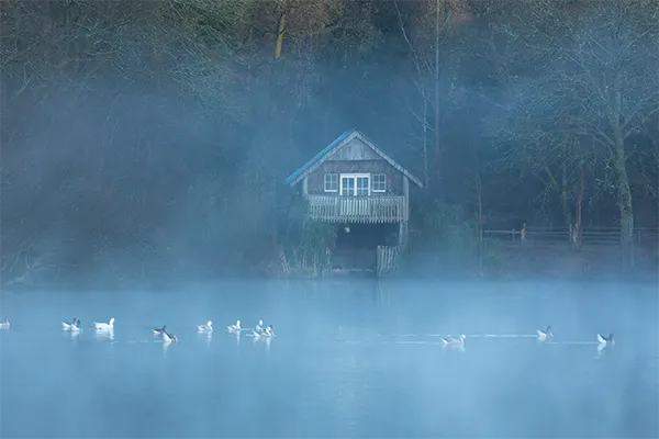 A misty blue lake with geese swimming, a wooden boathouse on stilts, and bare trees in the background.