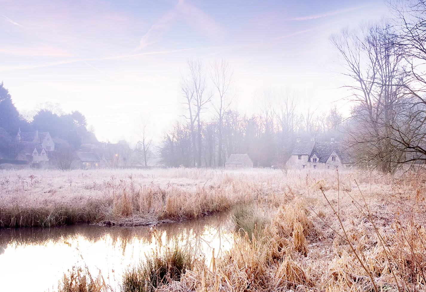 Frosty bracken surrounding a pond, with a few traditional cottages set in the woods in the background.