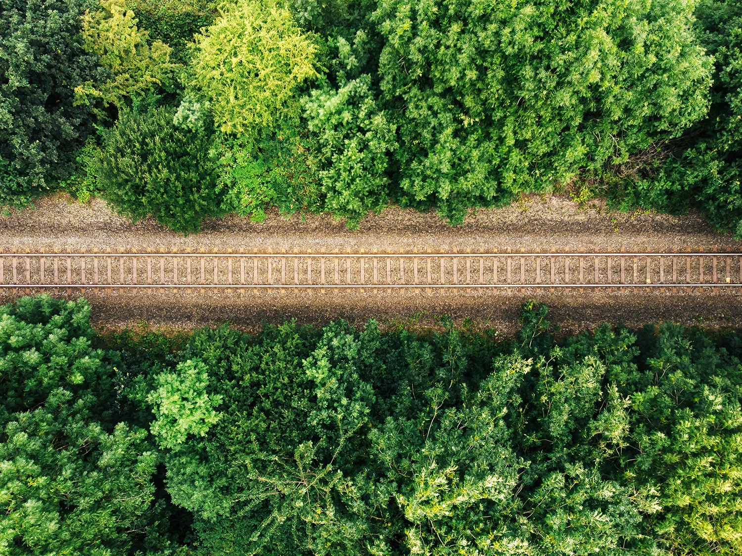 An aerial view of train tracks running horizontally across the image, with dense forest either side. 