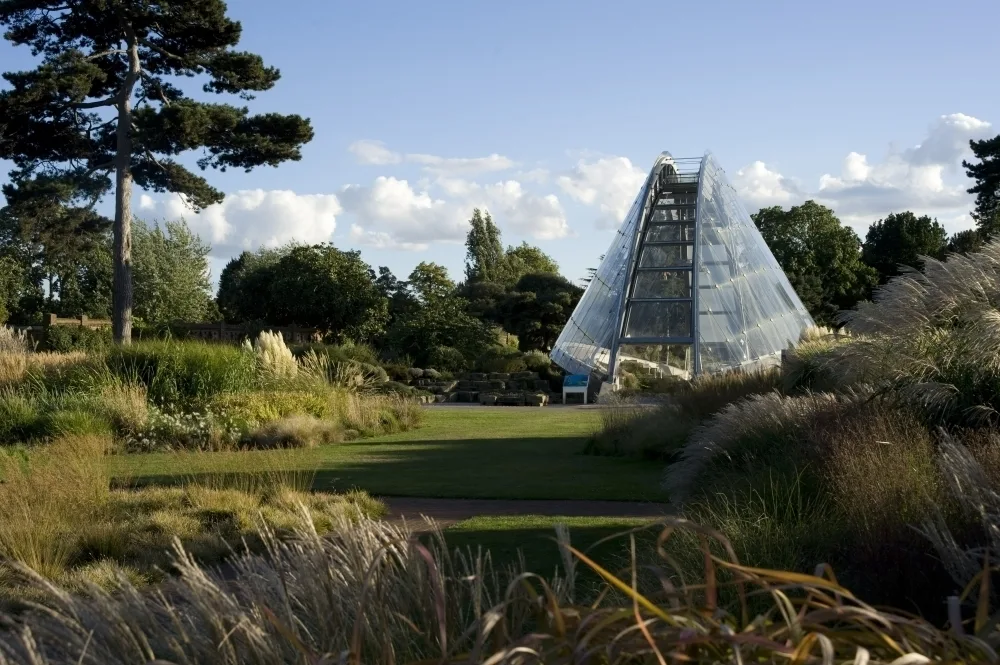  The grounds of Kew Gardens with a glass building among the trees. 