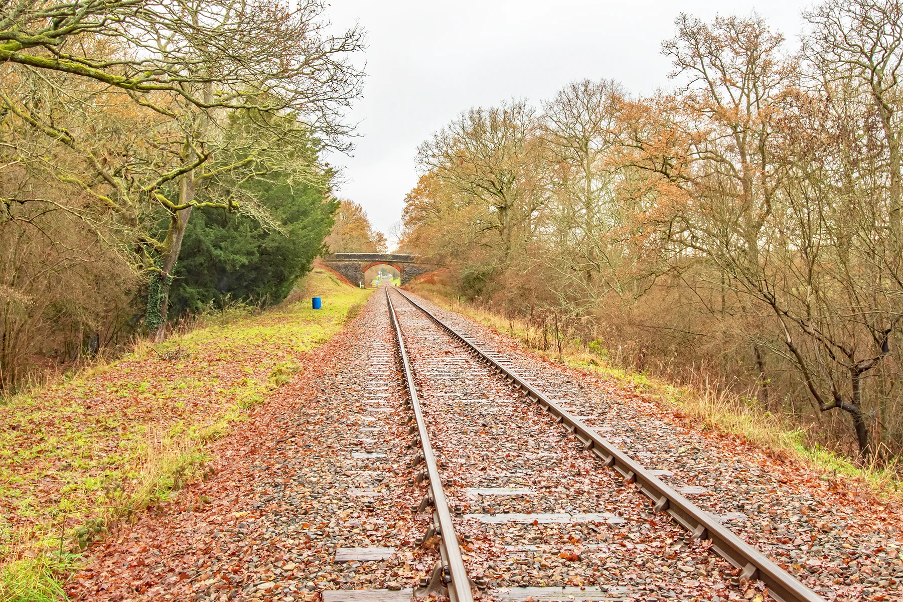 A railway track on an autumn day, there are trees both sides of the track and the rails are covered with wet leaves
