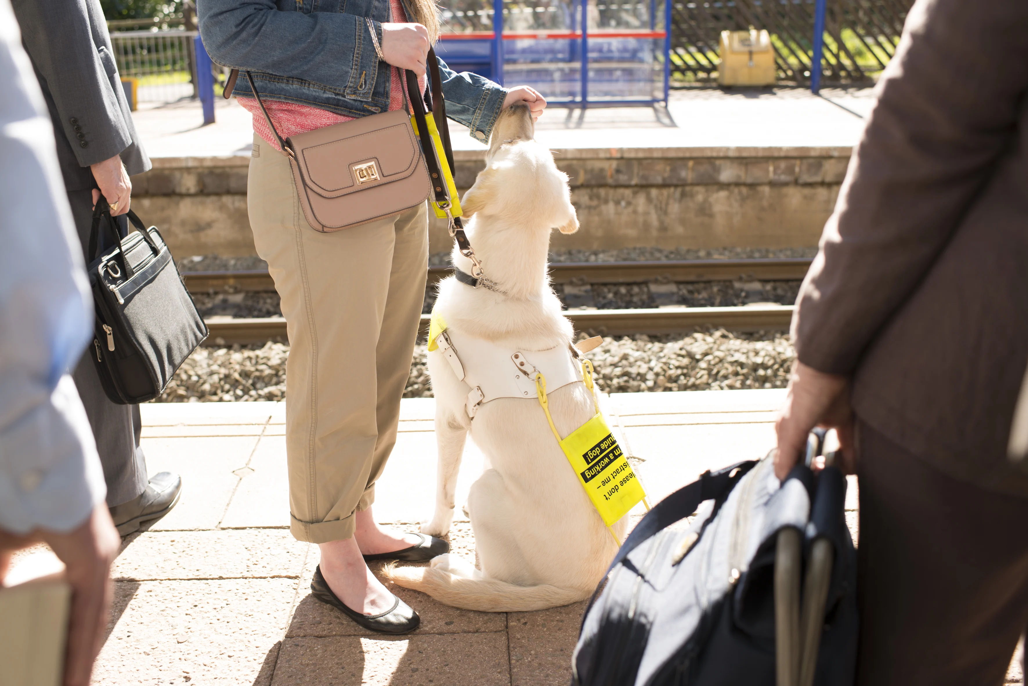 A woman standing on a station platform with an assistance dog (guide dog) wearing a harness and sign.
