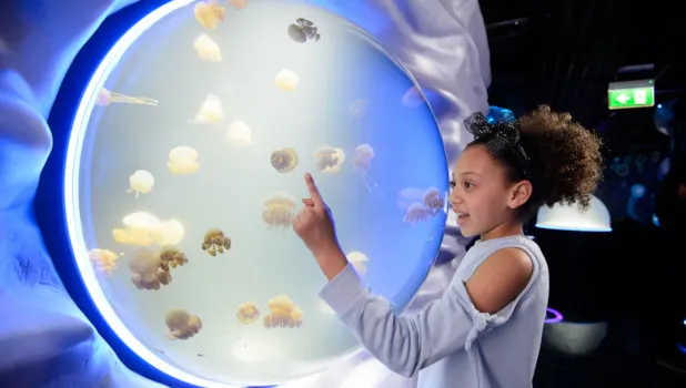 A Black girl in a grey top points at sea creatures in a globe-shaped tank. 