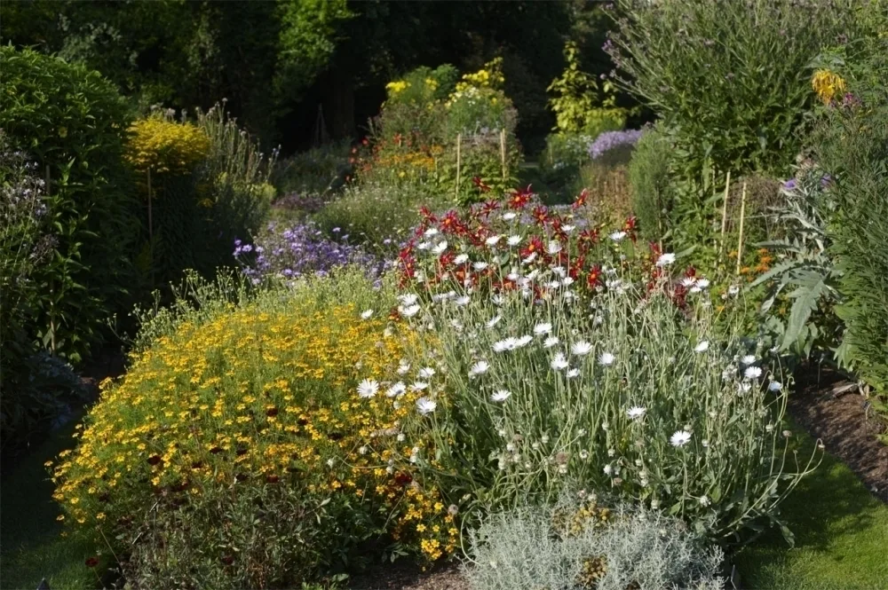 A flower bed with an array of yellow, white, red and purple flowers. 