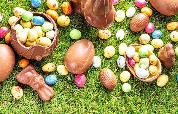 Lots of chocolate eggs and rabbits spread out on green grass.