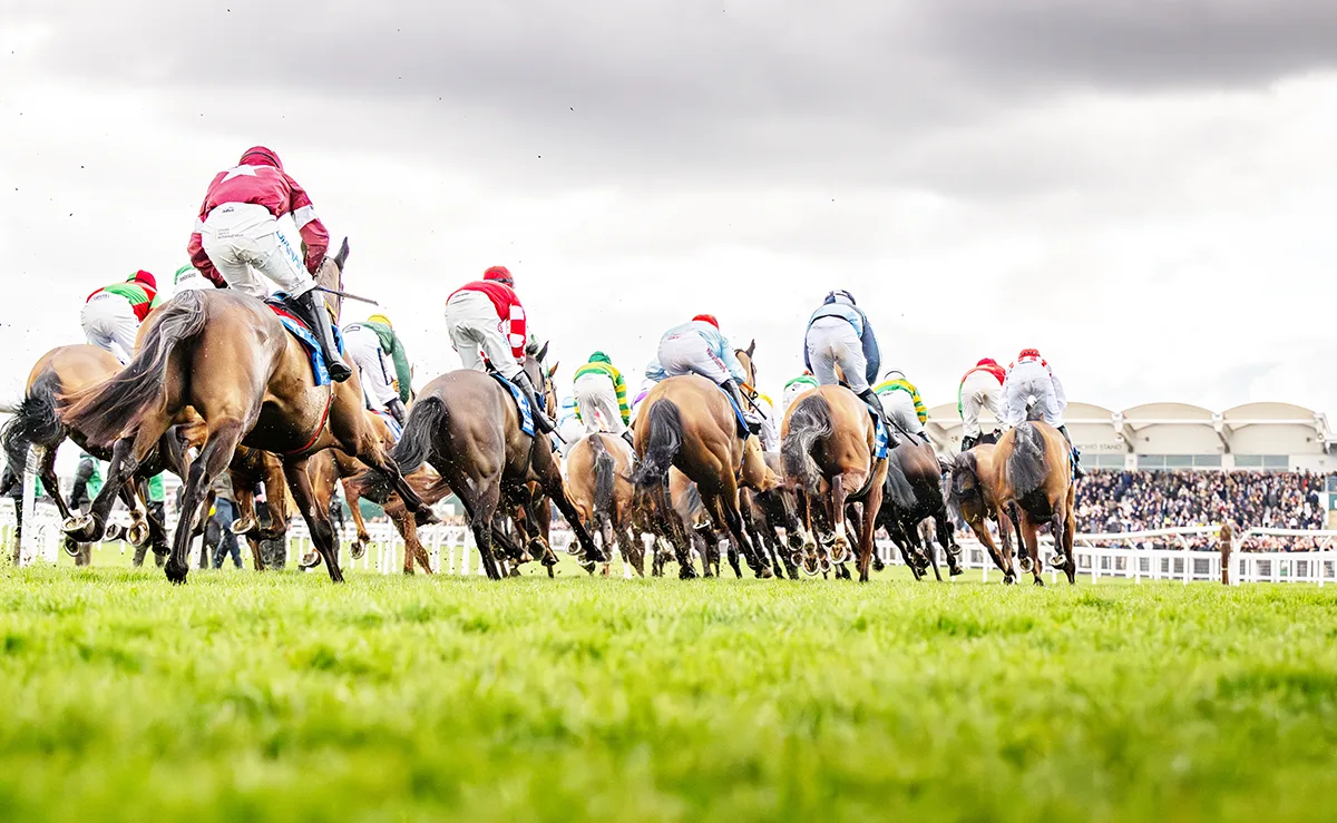 Horse racing event with jockeys in colourful silks competing on a green turf track, with a grandstand visible in the background.