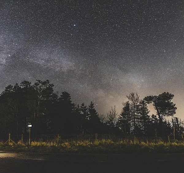 A bright starry night sky over trees and fields. 