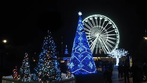 Several illuminated Christmas trees and a large ferris wheel against a dark sky. 