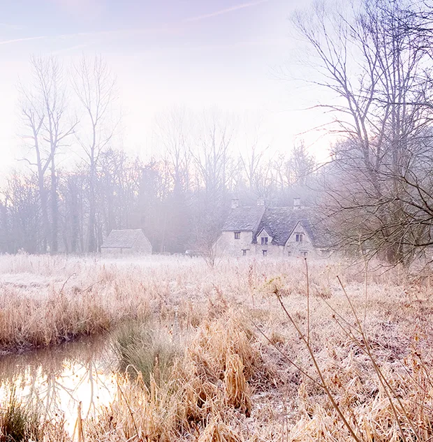 Frosty bracken surrounding a pond, with a few traditional cottages set in the woods in the background.