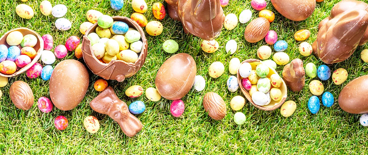 Lots of chocolate eggs and rabbits spread out on green grass.