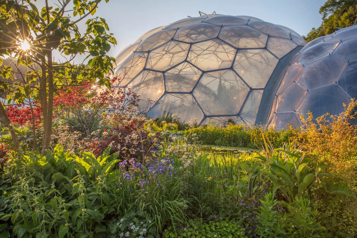 Large geodesic biome domes at the Eden Project, Cornwall, surrounded by lush, colourful gardens in warm sunlight.
