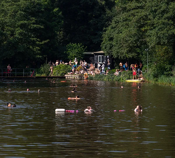 People swimming in a Hampstead Heath pond, with a crowd gathered on the bank beside a small building surrounded by trees.
