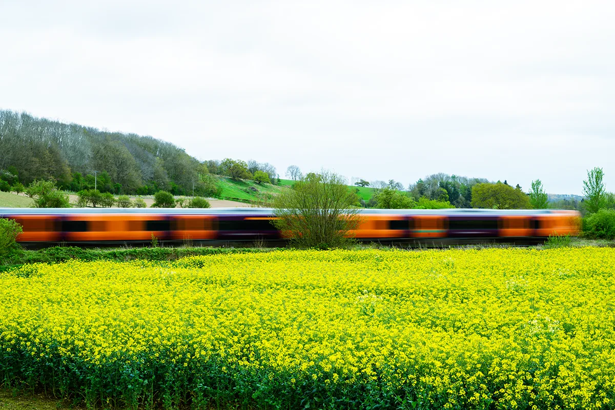 A photo of a train speeding through the countryside with a field of yellow flowers in the foreground.