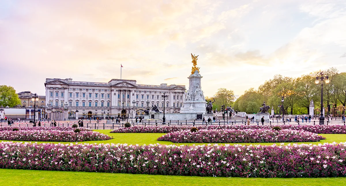 Pink flower beds and a manicured lawn in front of Buckingham Palace, a large white building with a gold statue on a plinth by the gates. 