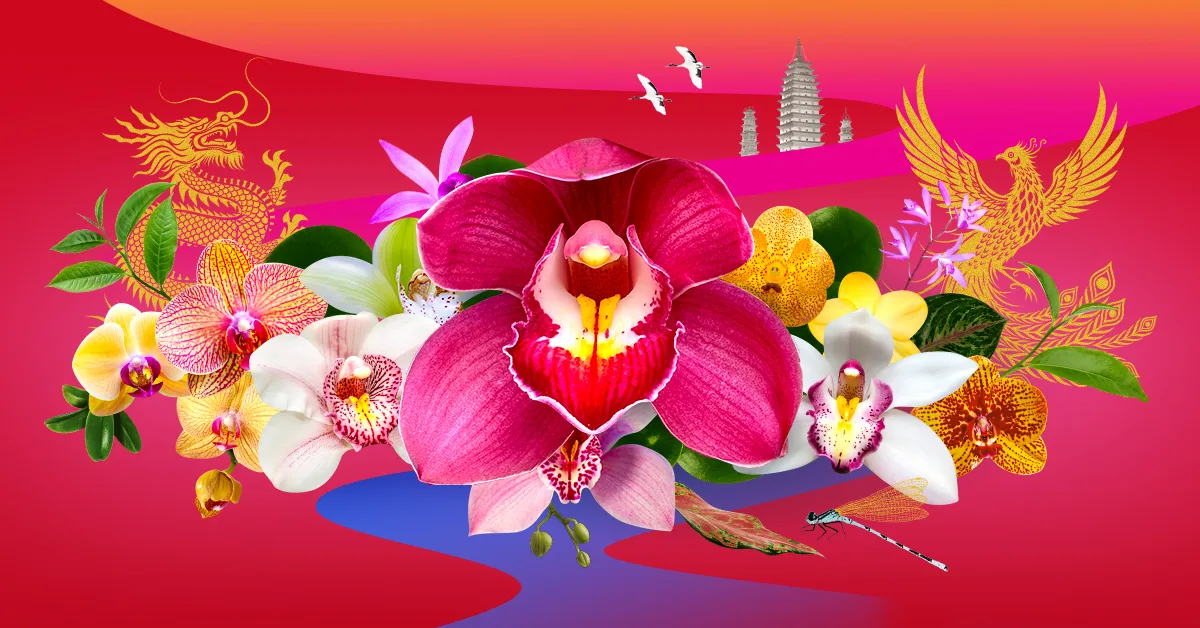 Vibrant Chinese-inspired artwork featuring orchids, a dragon and phoenix against a red background with pagodas and flying birds.