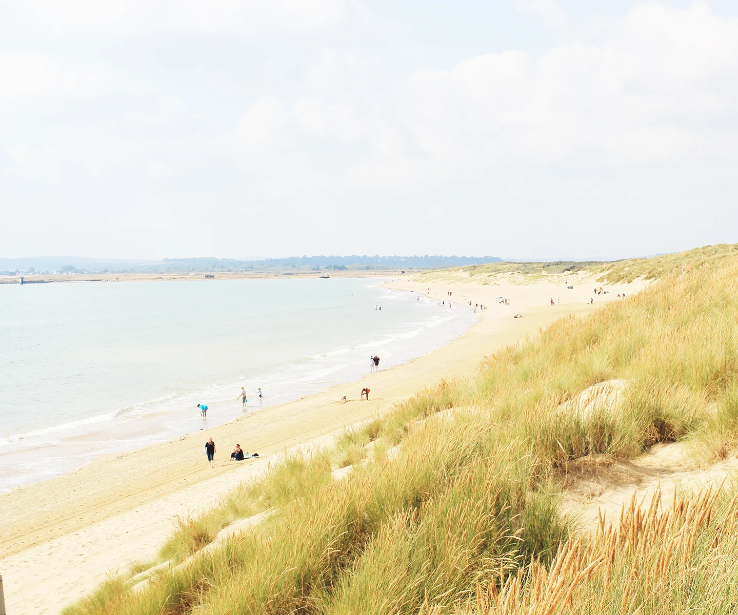 A sandy beach on a sunny day with grassy sand dunes leading down to a beach dotted with people.