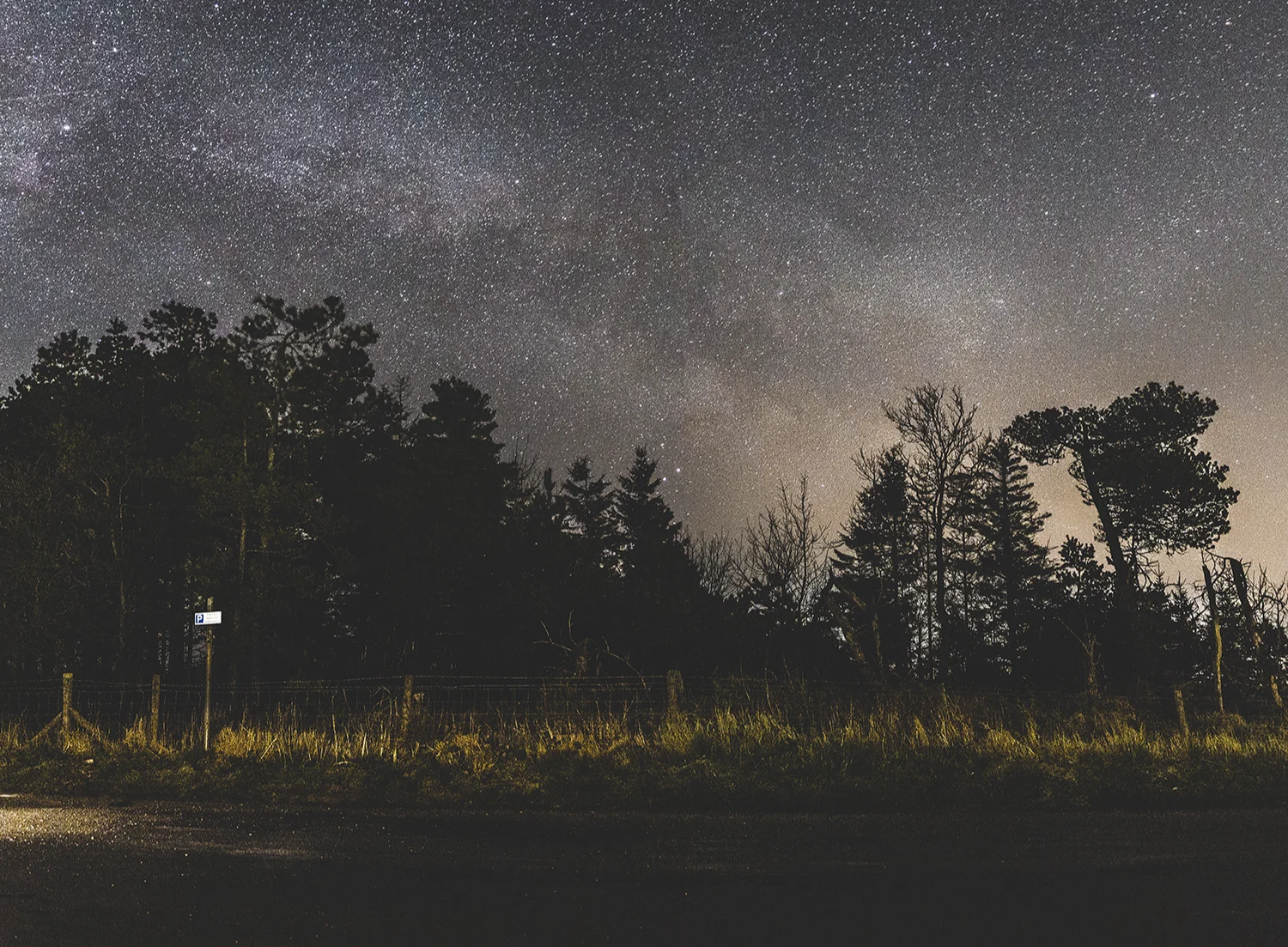 A bright starry night sky over trees and fields. 