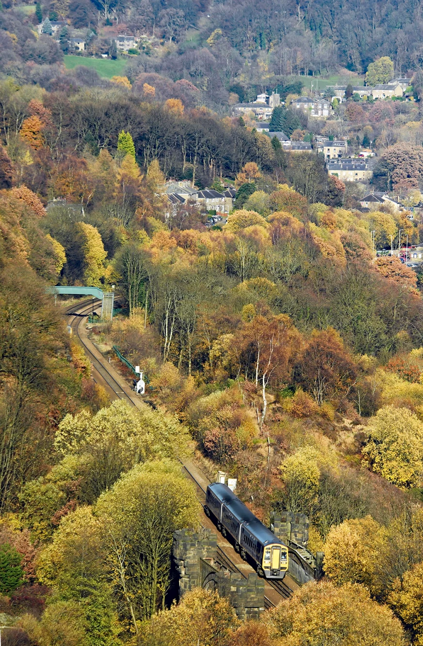 A train crosses a viaduct with trees covered in autumn leaves either side.