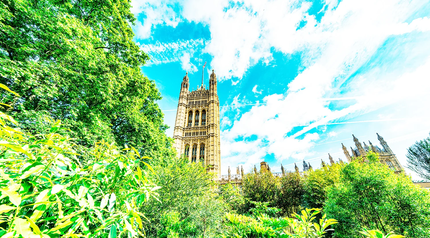 The tower the Houses of Parliament behind a wall of lush green vegetation against a blue sky streaked with clouds.