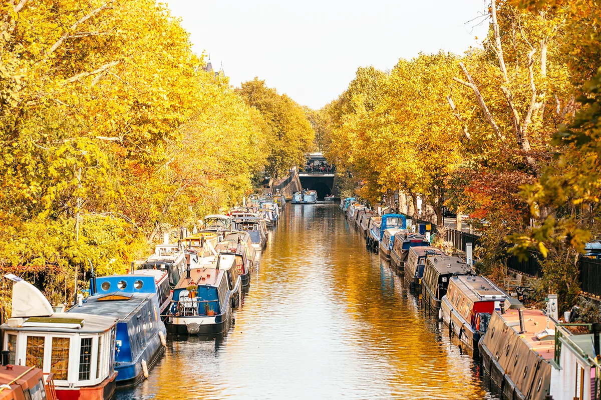 Regents Canal in London, lined with narrowboats and golden autumn trees, with the water reflecting yellow foliage under a clear sky.