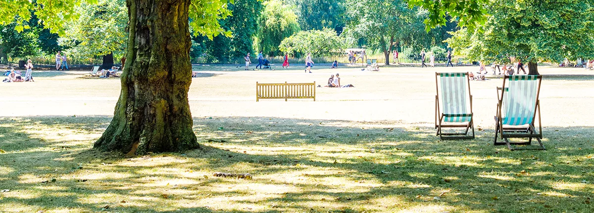 2 empty green and white striped deckchairs under a tree in a busy park on a sunny day. 