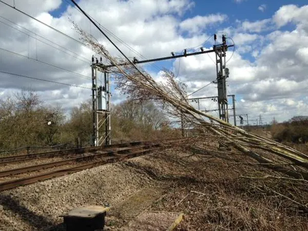 A tree has fallen onto overhead power lines on a railway line