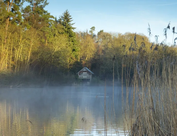 Looking across a misty lake towards a forest and a hut on stilts sitting on the bank.