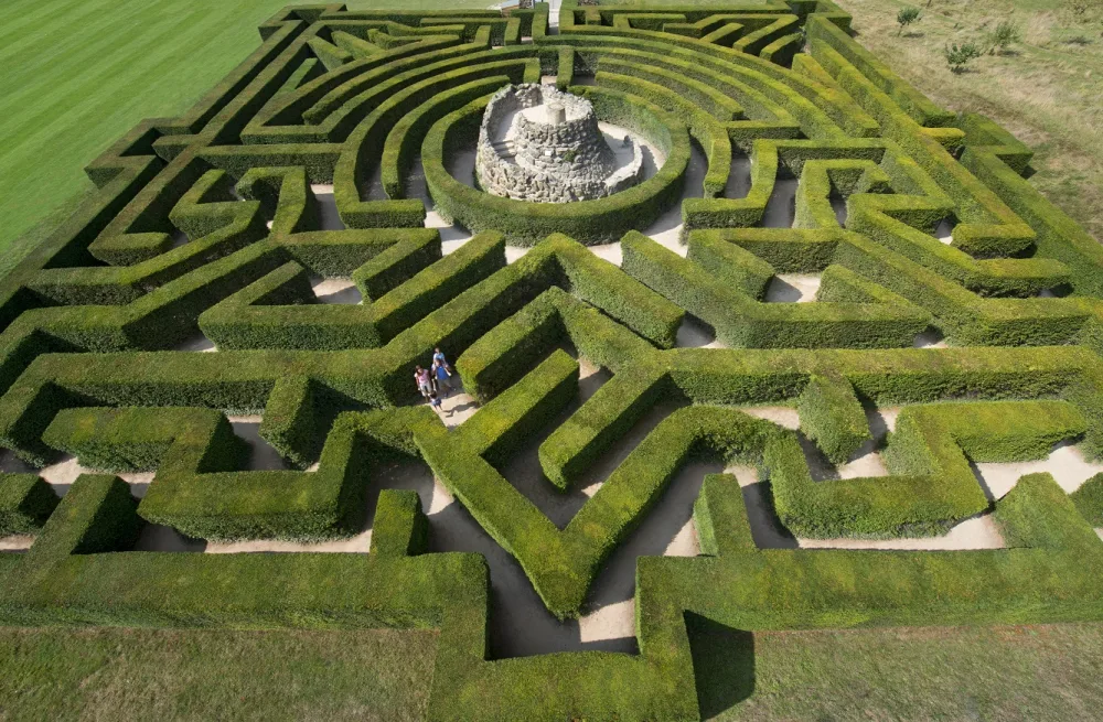 Aerial view of a green hedge maze.