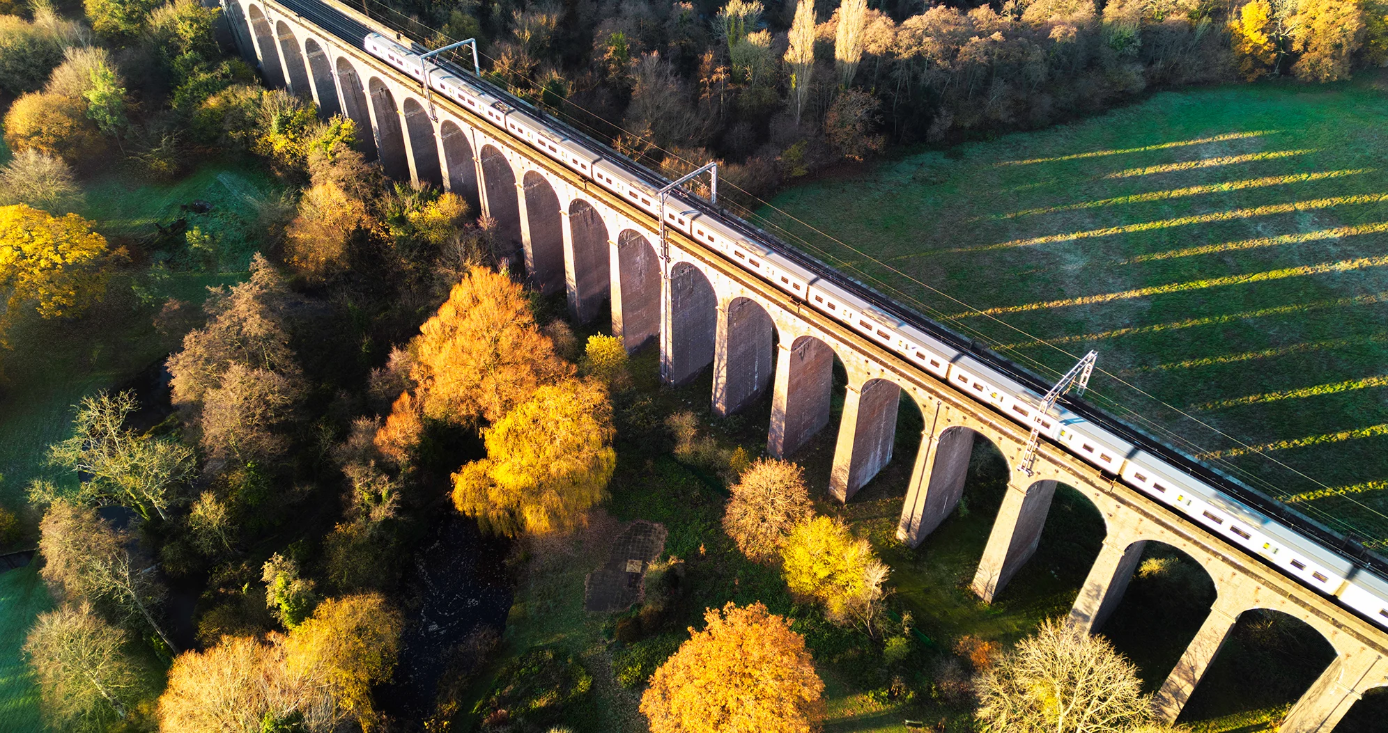 A train crosses a viaduct with fields and trees covered in autumn leaves below
