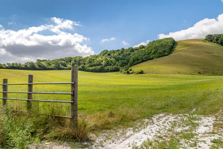A green field leading to a gently sloping, tree-lined hill, against a blue sky. 
