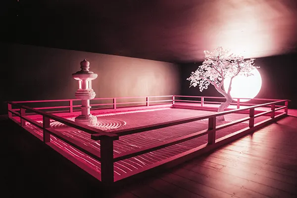 An exhibit in an art gallery, a Japanese zen garden with raked sand and a tree at one end, bathed in pink light. 