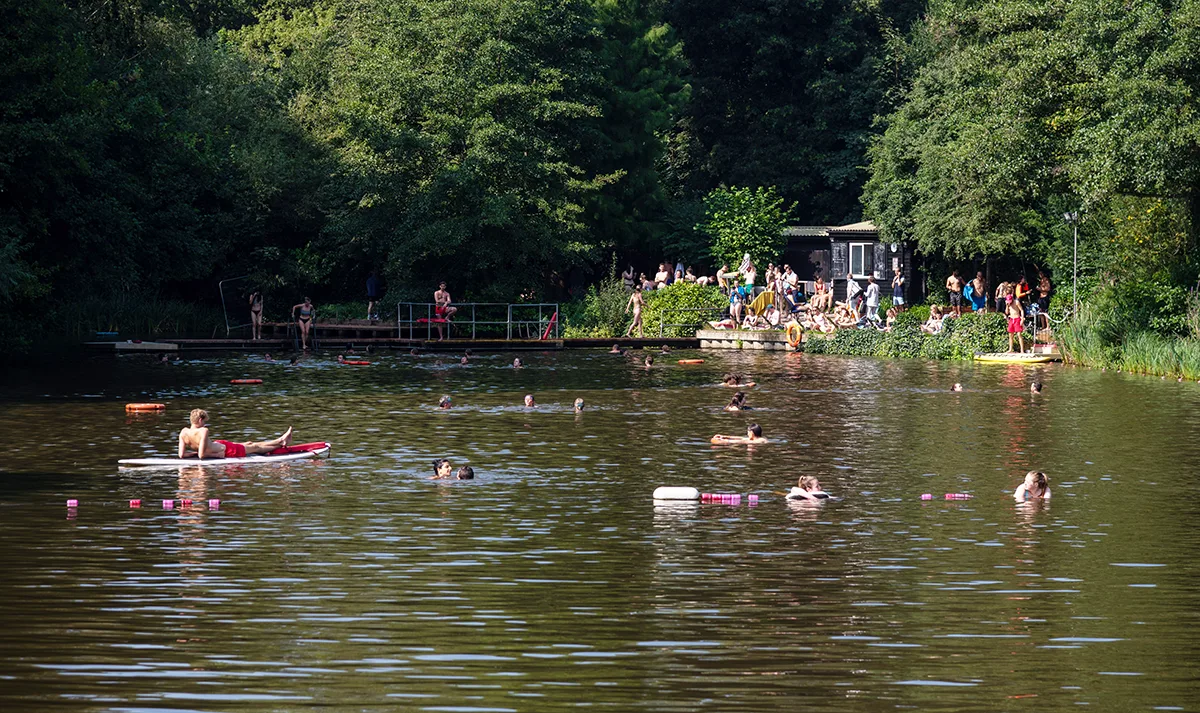 People swimming in a Hampstead Heath pond, with a crowd gathered on the bank beside a small building surrounded by trees.