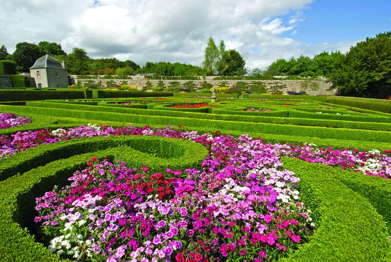 A sea of pink and purple flowers inside a manicured garden with curving hedges.