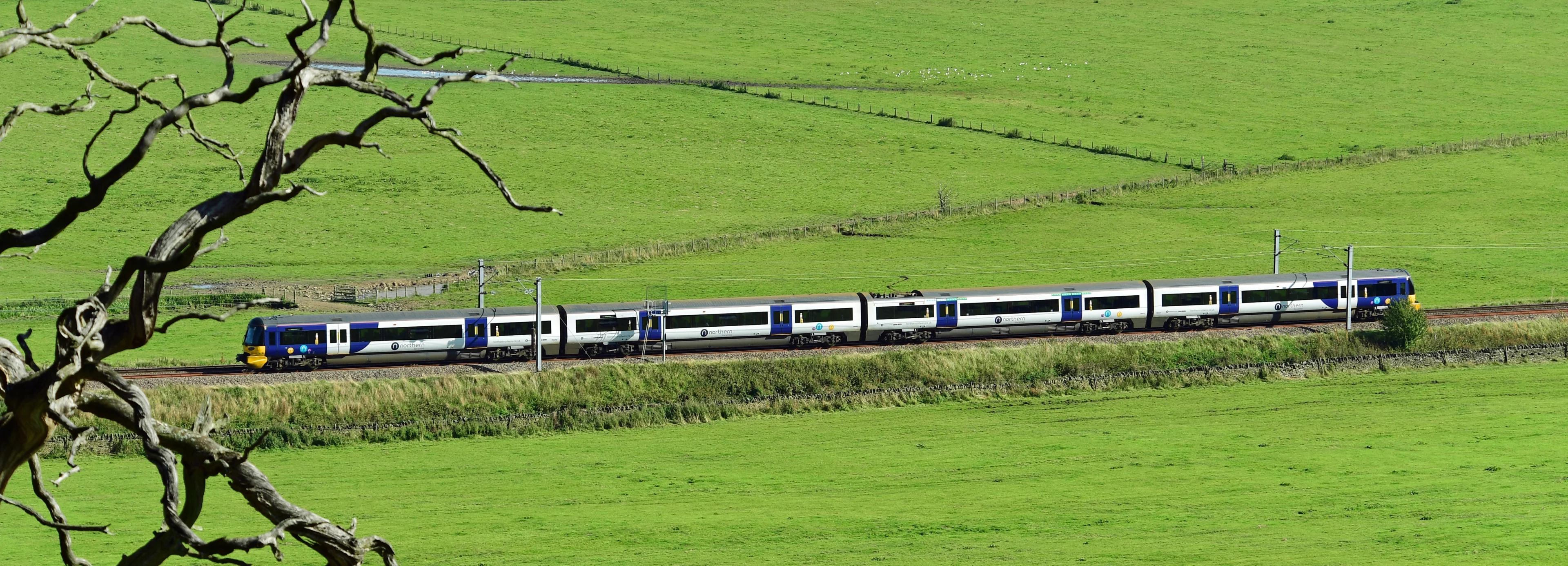 A train crossing through a green field on a sunny day