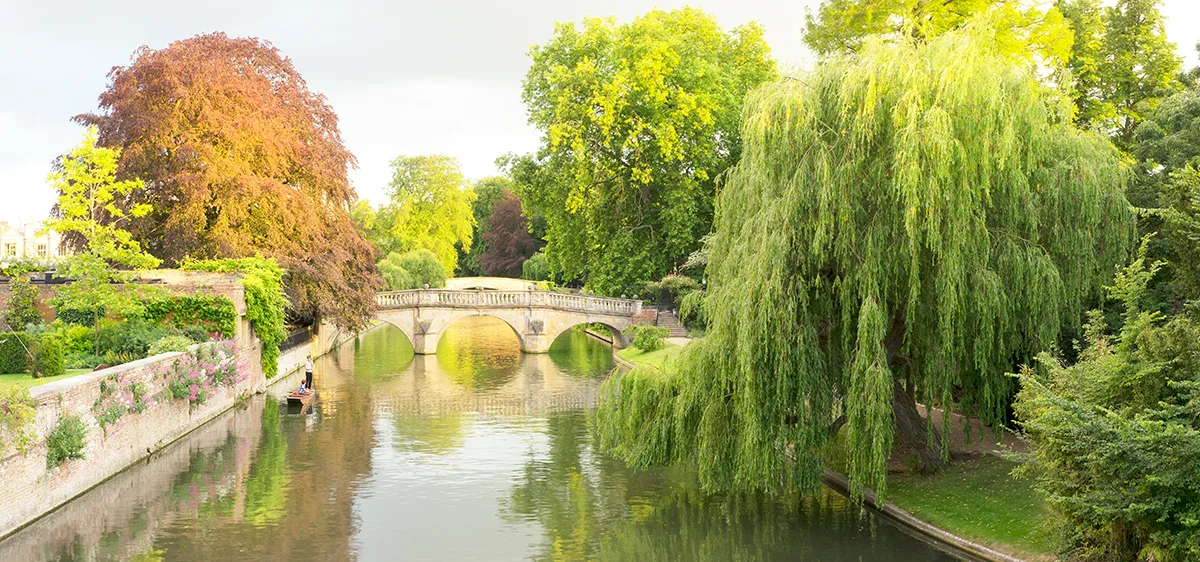 A narrow river with stone bridges across and tree-lined banks. 